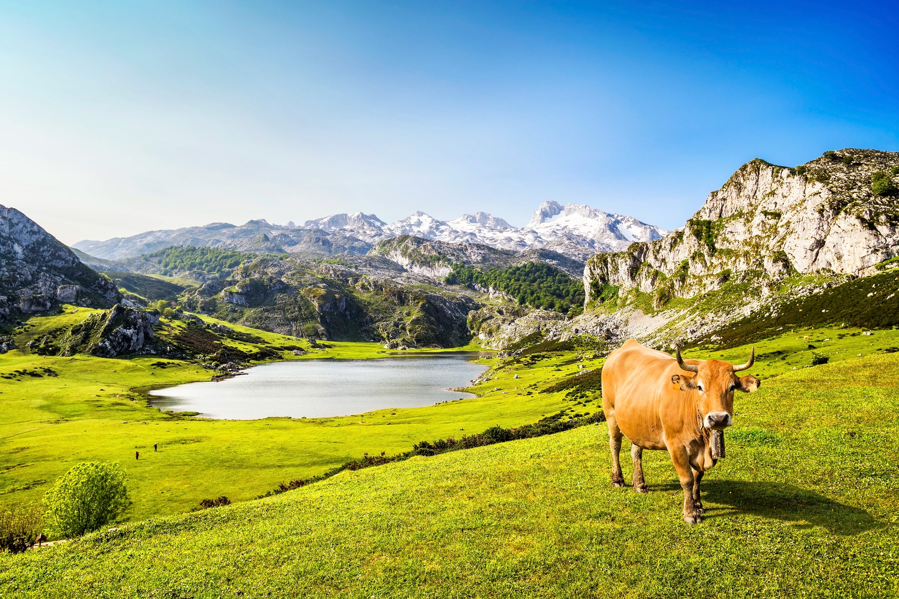 Vacaciones baratas: 17 destinos económicos: Asturias