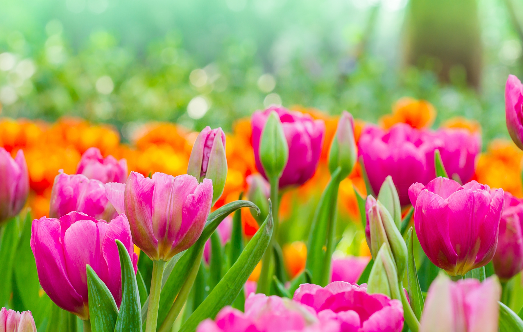 Blumen können einen Hotelaufenthalt viel bunter und angenehmer machen