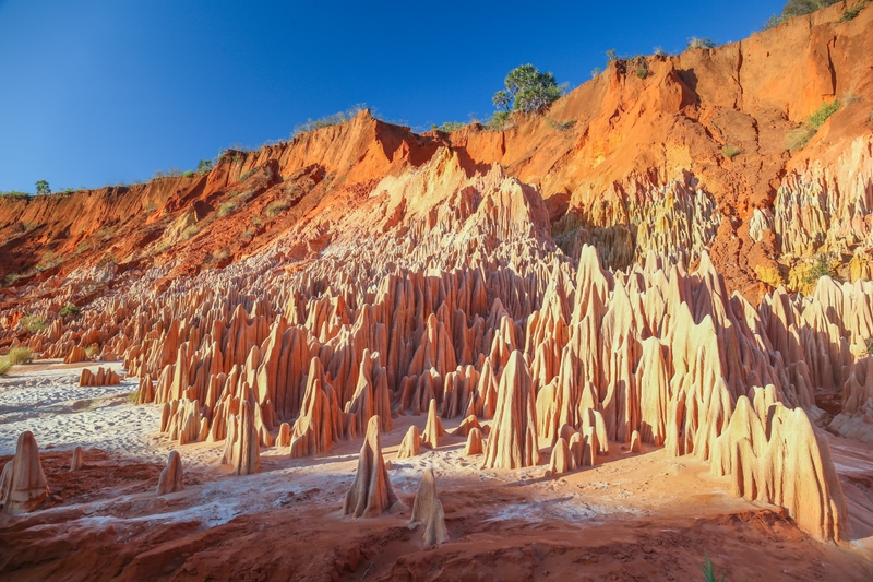 Madagascar