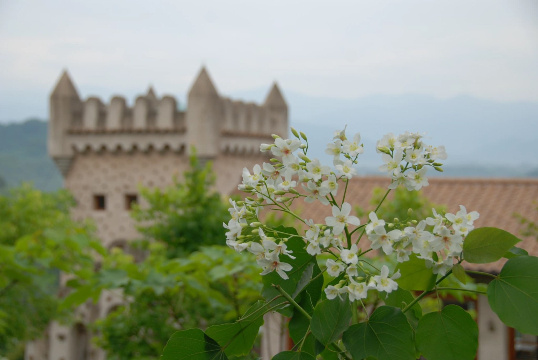 「天空之城」是苗栗熱門景點