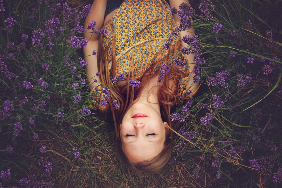 campos de lavanda