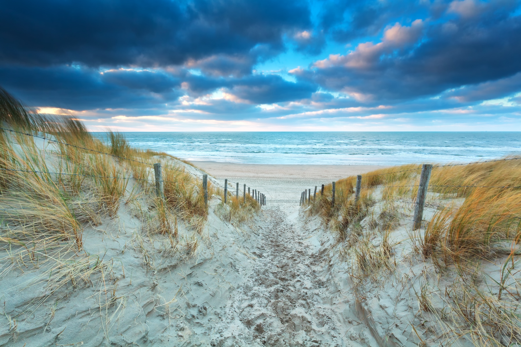 Dagje strand in Zandvoort