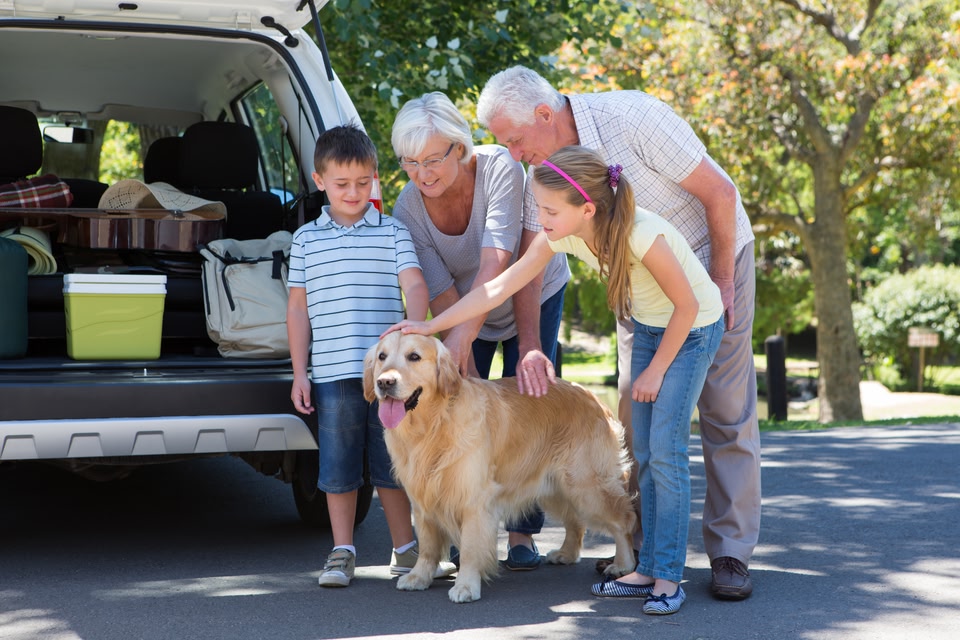 Kids, grandparents and a dog next to the car - road trip with the family