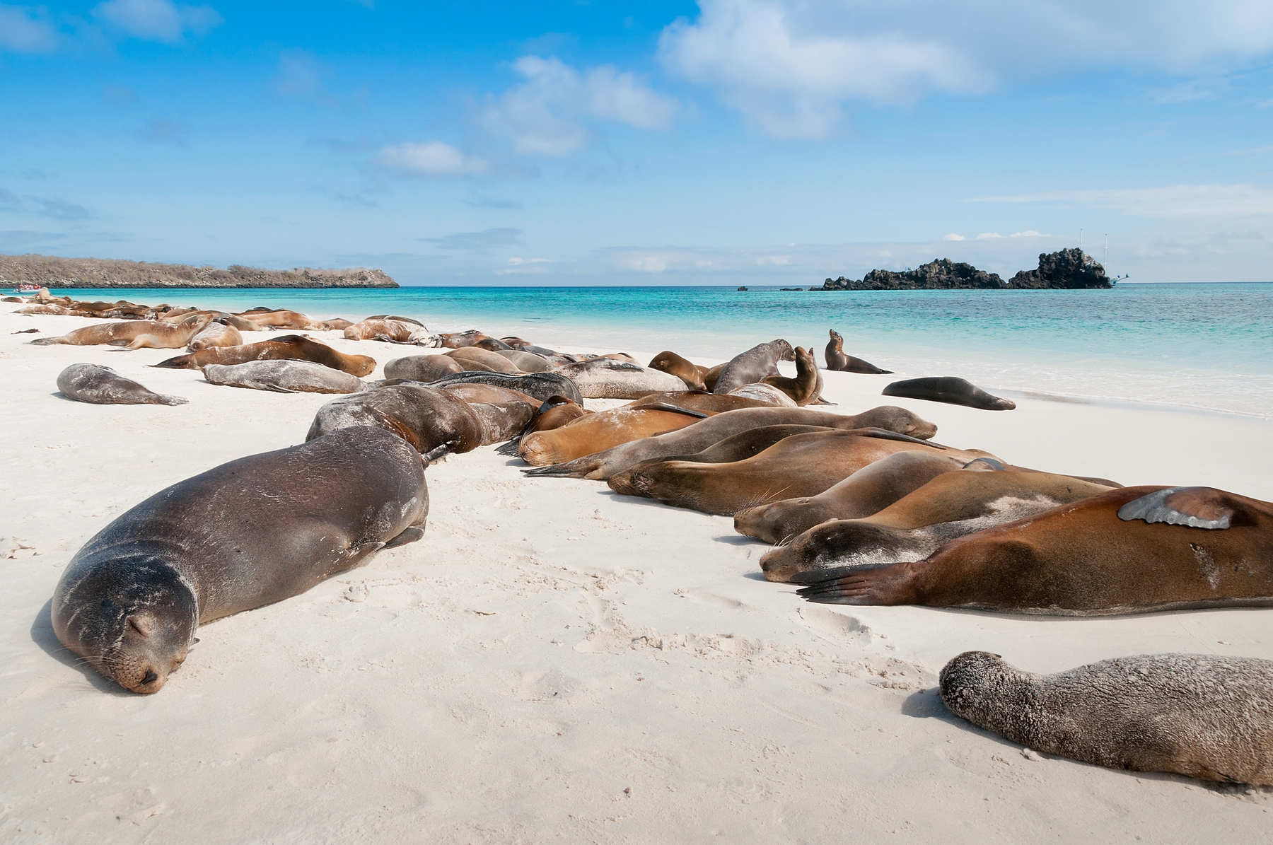 destinazioni da sogno - Galapagos