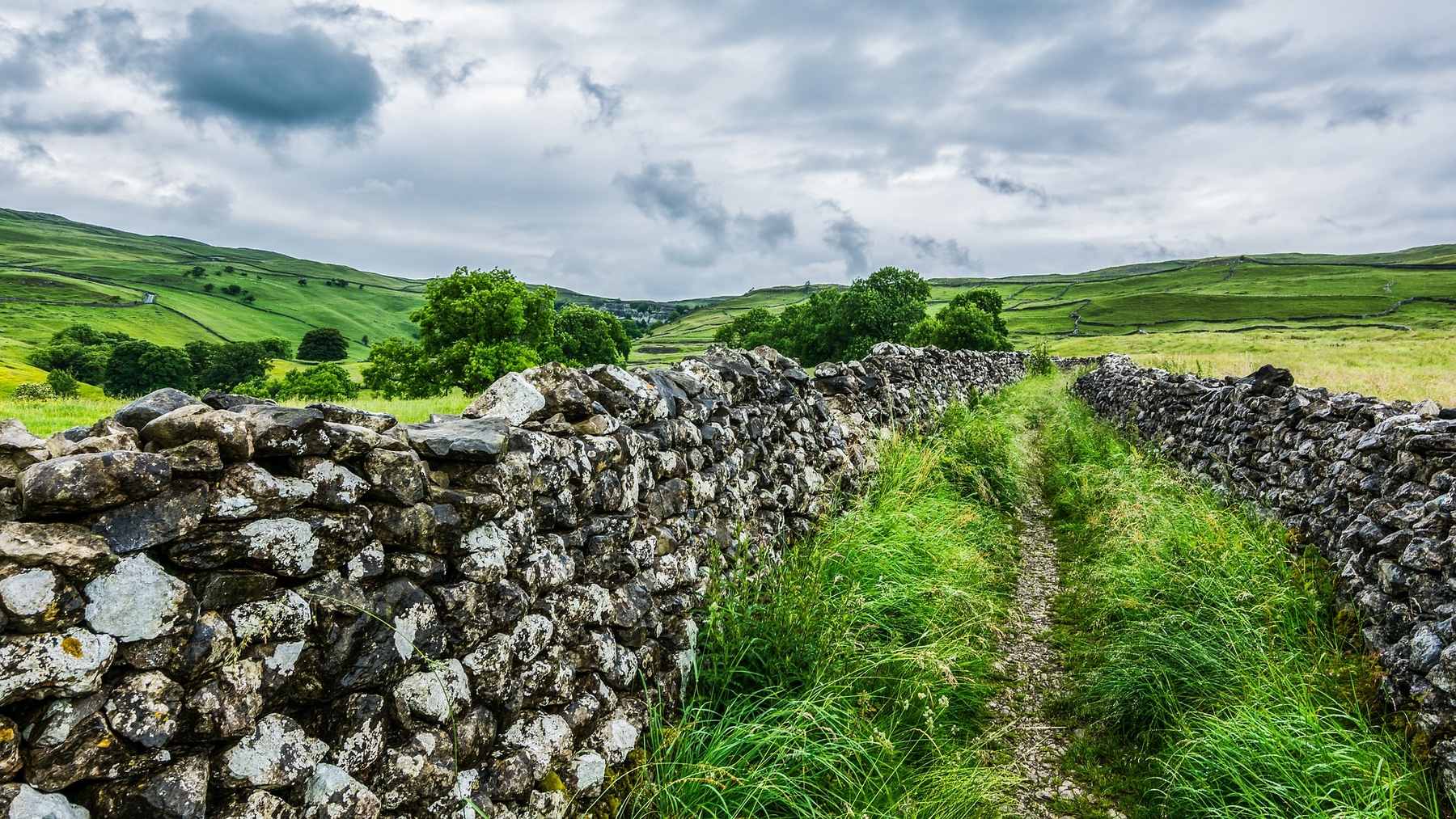 Stone wall near Malham, Yorkshire