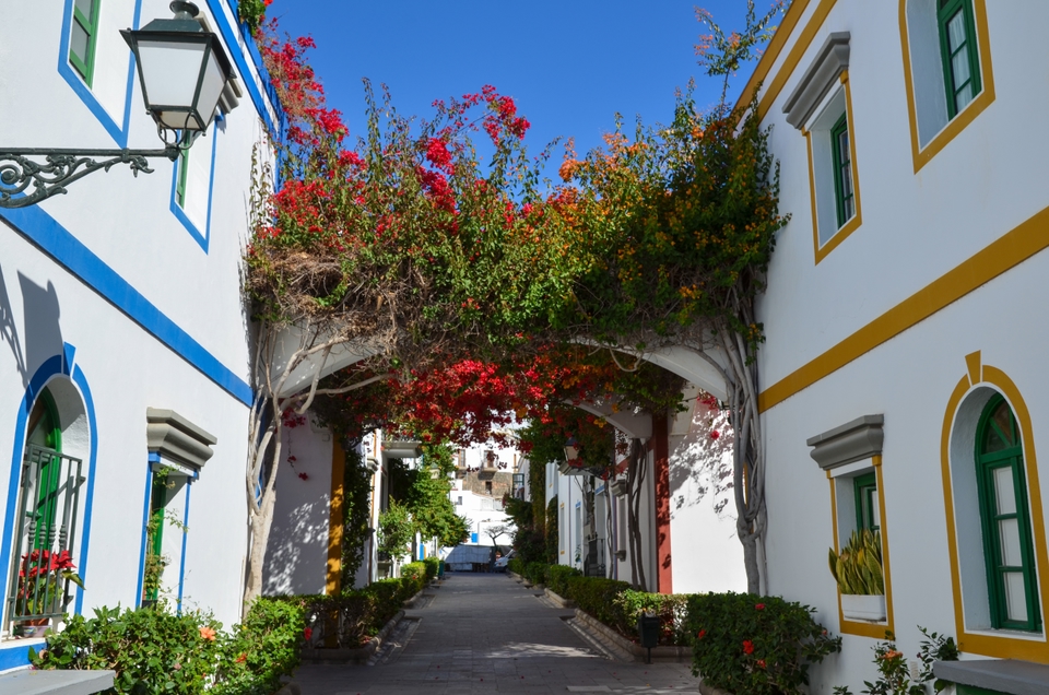 Lane of white houses draped in colourful flowers
