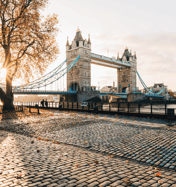 A scenic shot of London Bridge captured from a distance, with the sun setting behind a tree on the left.