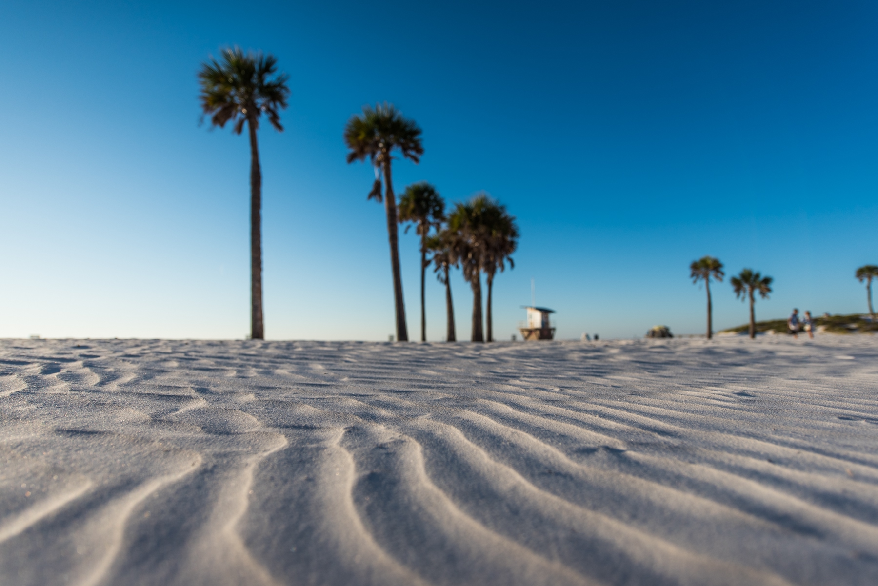 Ripples of sand on a beach