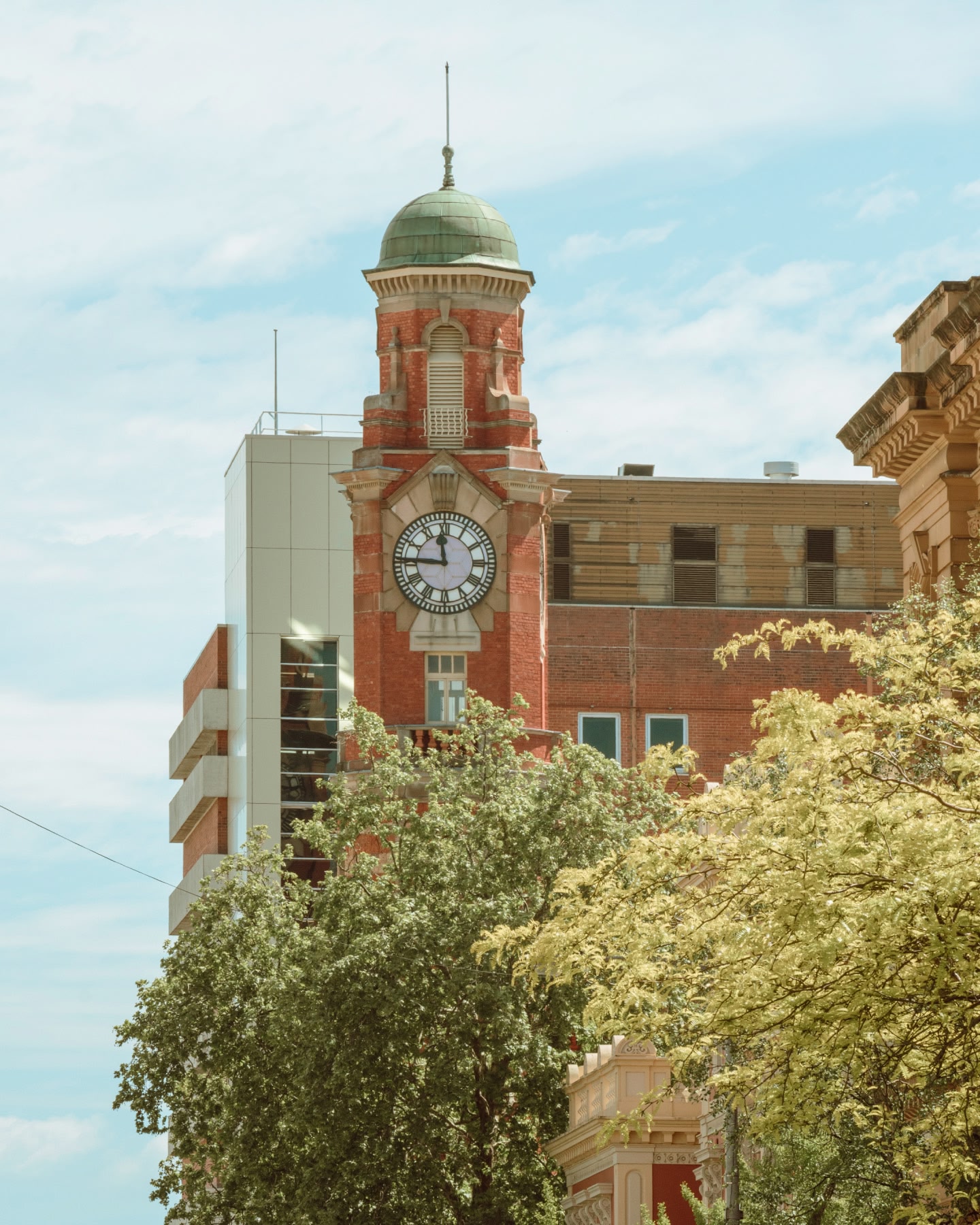 The clock tower in Launceston, Australia partly hidden by trees and set in front of buildings