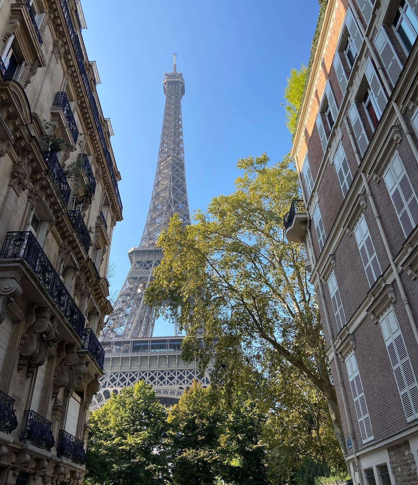 Wer bei moderner Kunst auf dem Laufenden bleiben will, für den ist die Paris+ par Art Basel ein Muss.