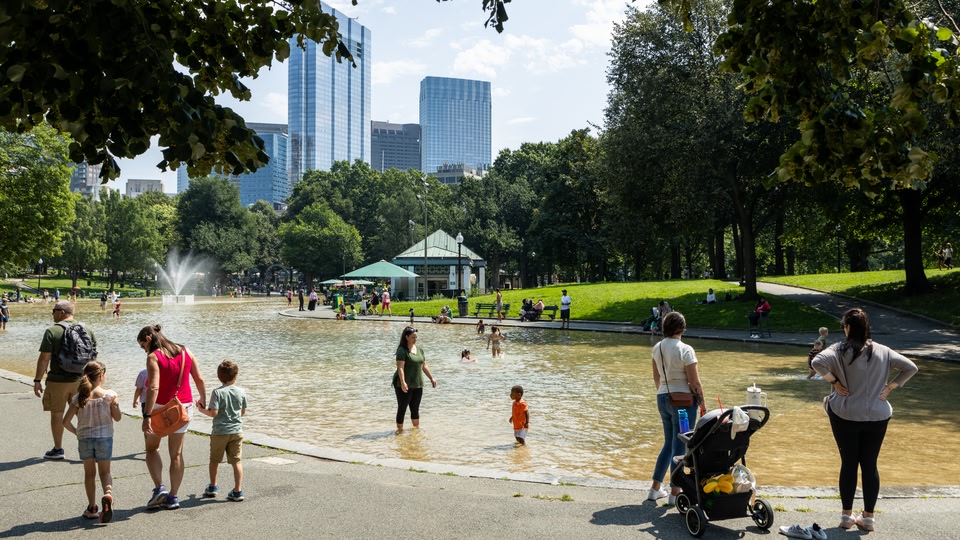 people enjoying the pond during the summer in the Boston Commons. Downtown Boston buildings visible in the background.