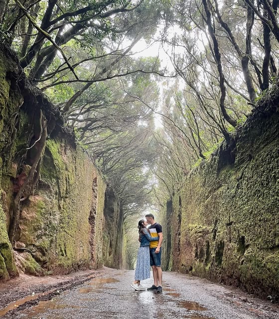 Turistas en Tenerife