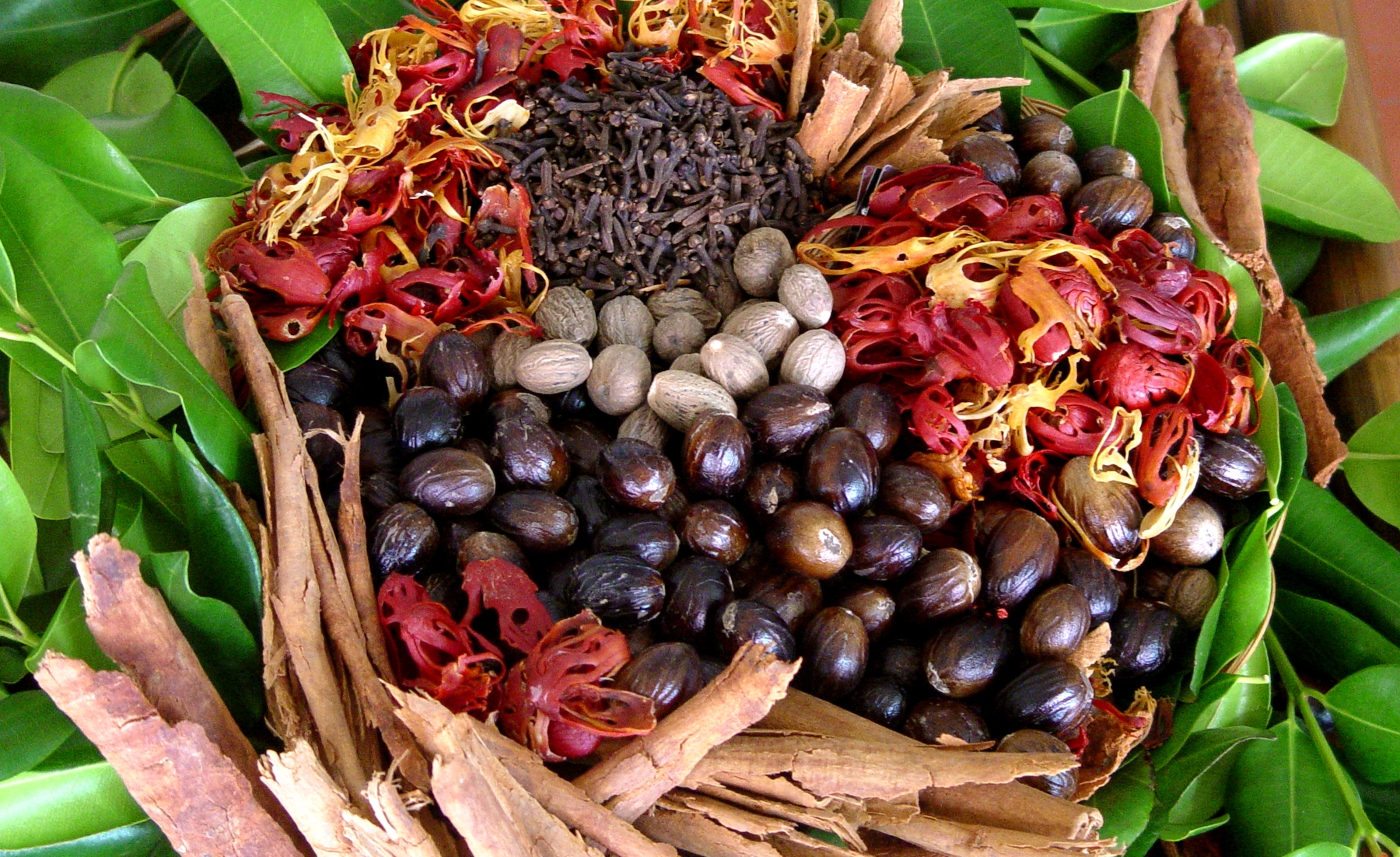 An array of spices and cocoa beans that can be sampled in Grenada during the annual Chocolate Fest in May. 