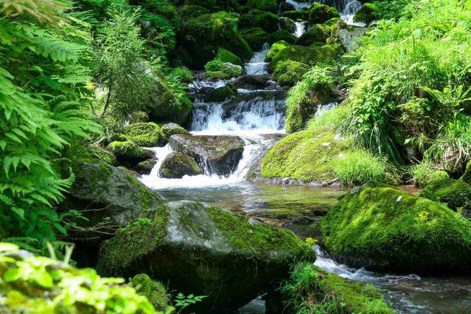 Summer Amedaki scenery Tottori Prefecture Amedaki
