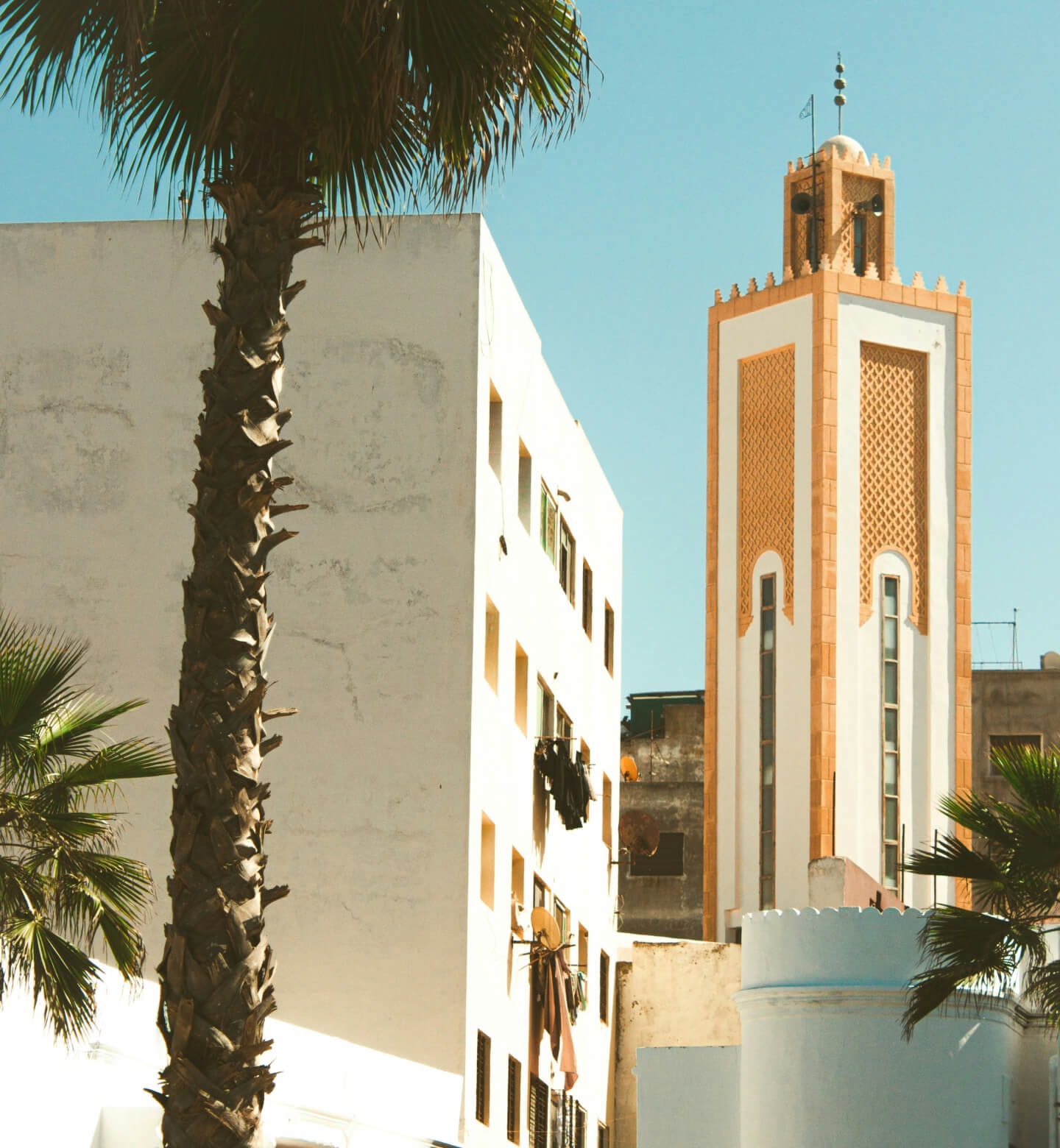 Ornate clock tower next to a white apartment block and large palm tree in Rabat, Morocco.