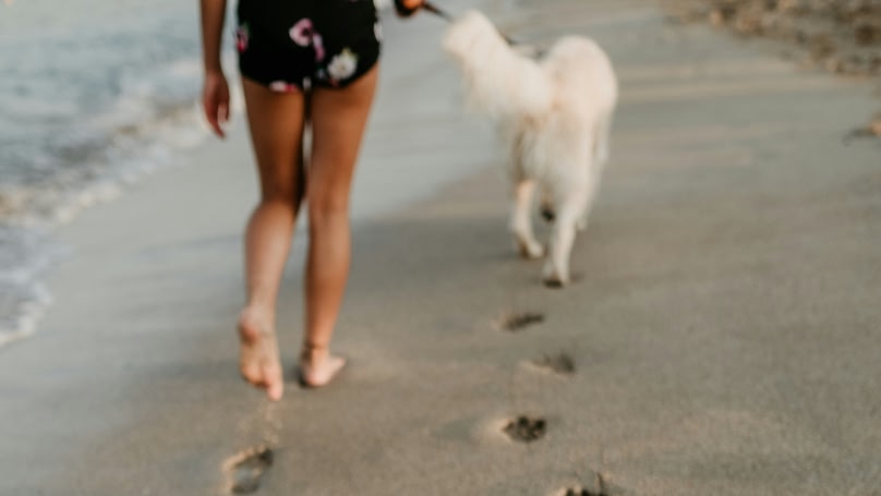 An image of a person walking her pet on a sandy beach during sunset.