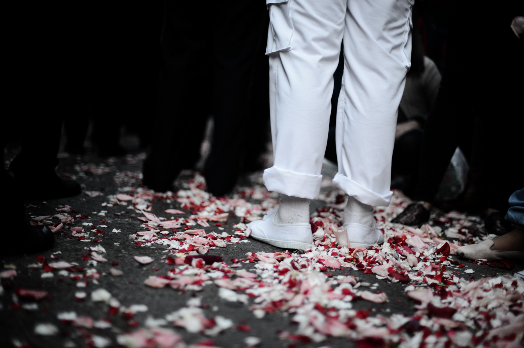 Alfombra de pétalos de flores tras el paso de la Virgen © Bisual Studio
