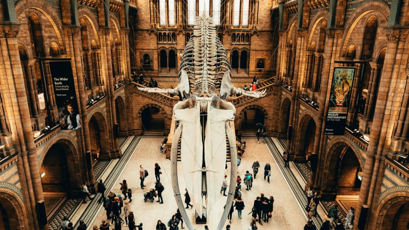 Le Natural History Museum