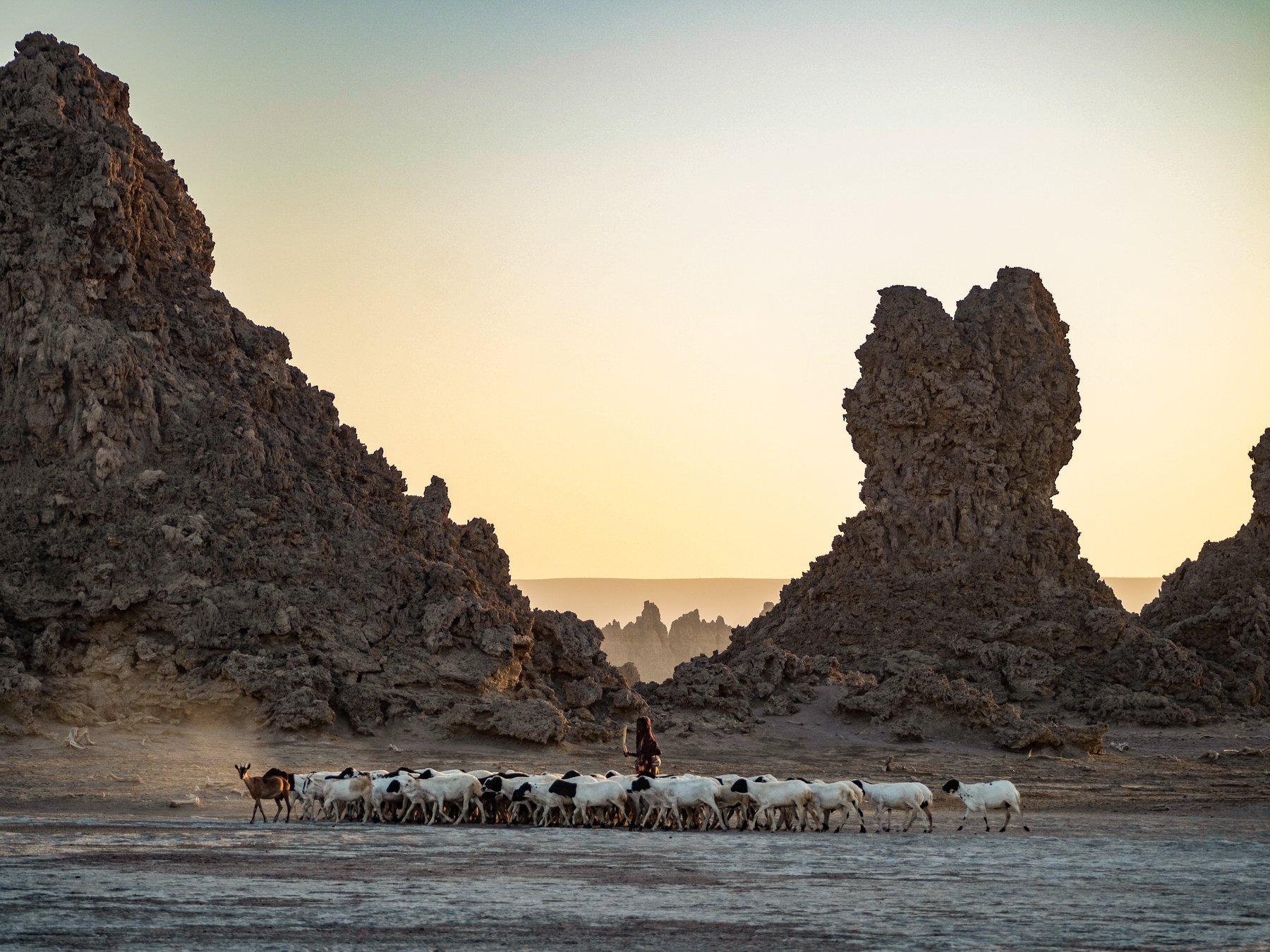 Unexpected places to travel Djibouti Africa