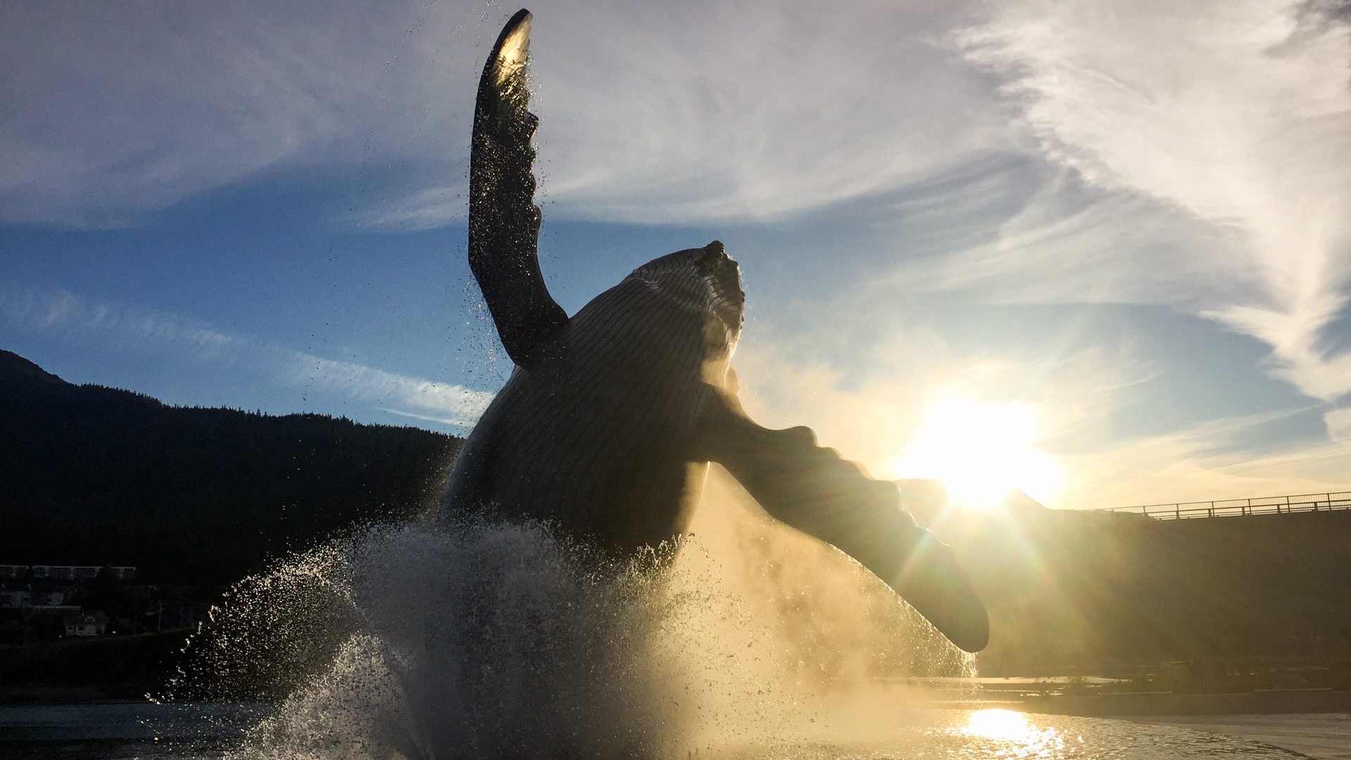 Juneau
