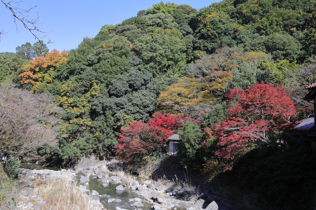 大阪府 犬鳴山
