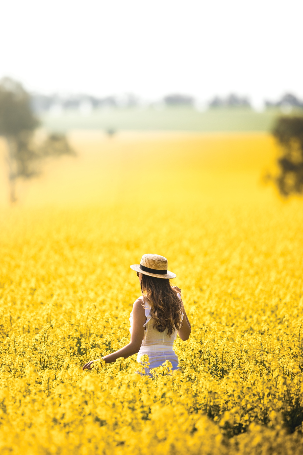 Clare Valley: Perfect stop for South Australia road trip