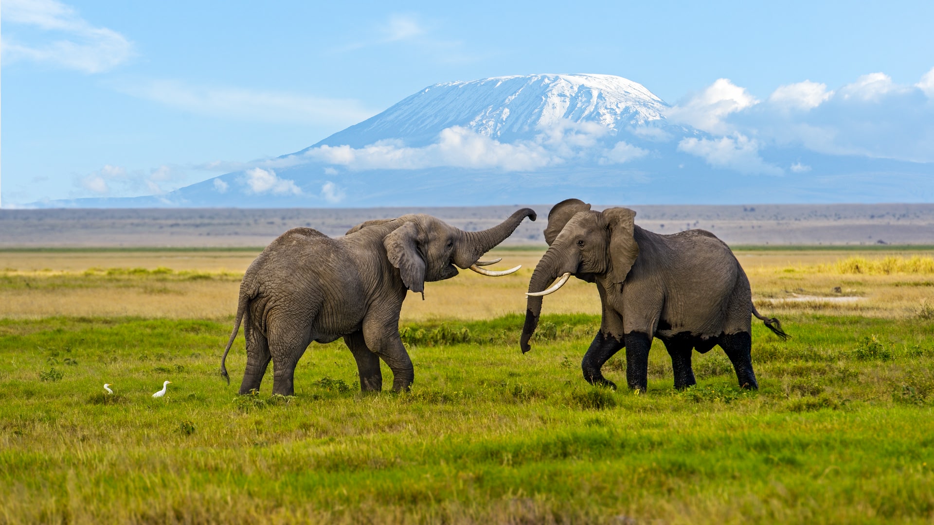Kenya