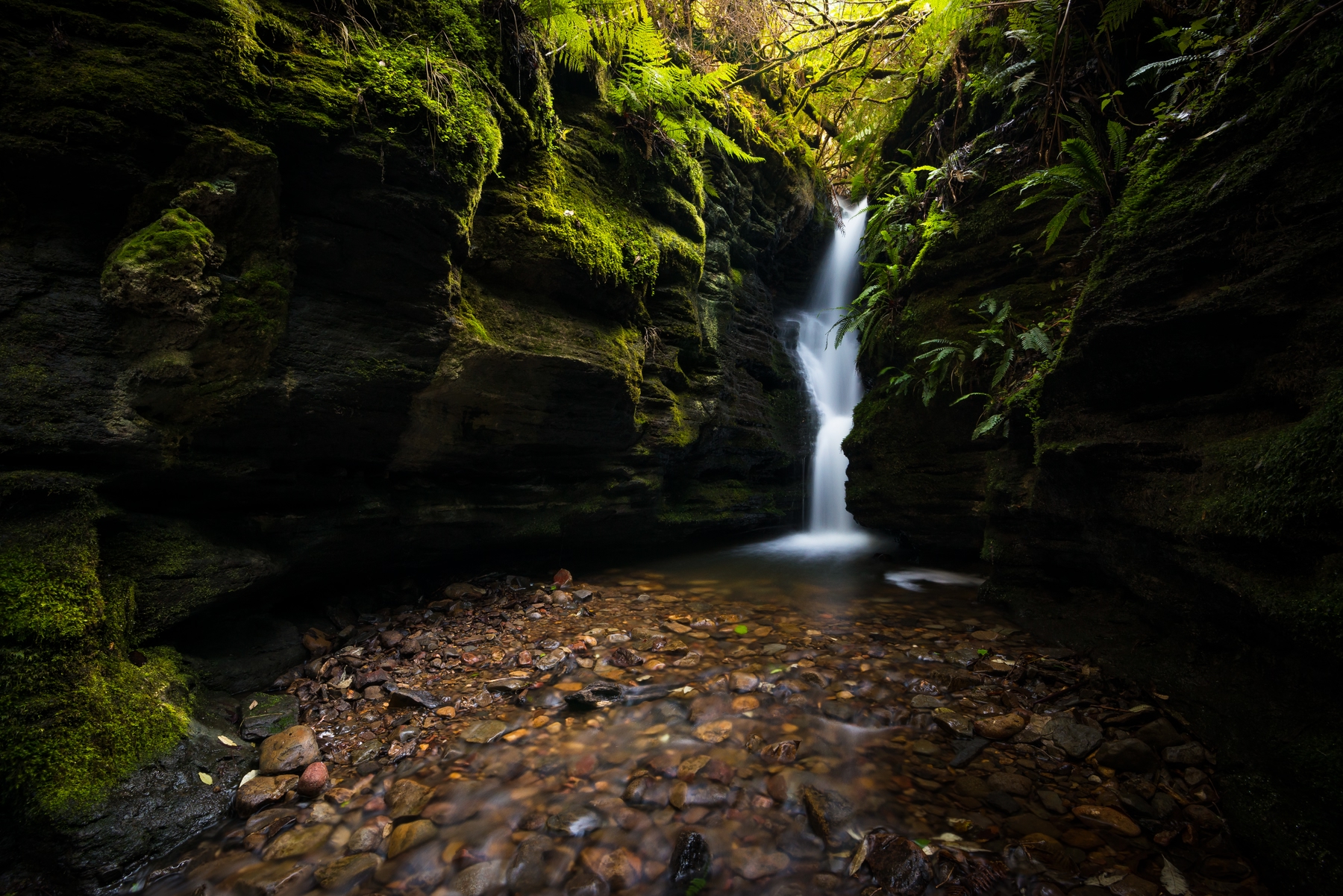 Mount Wellington Secret Falls
