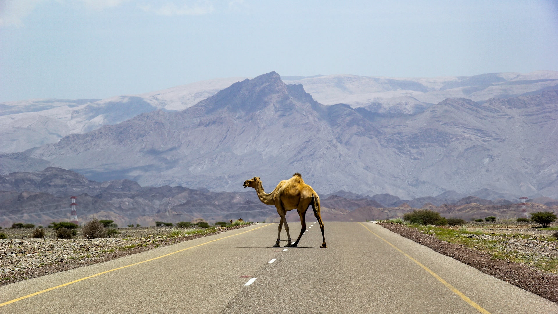 Oman