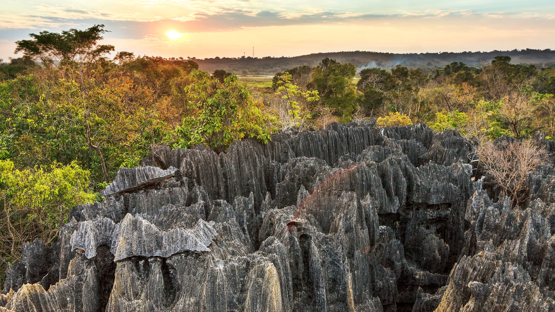 Madagascar