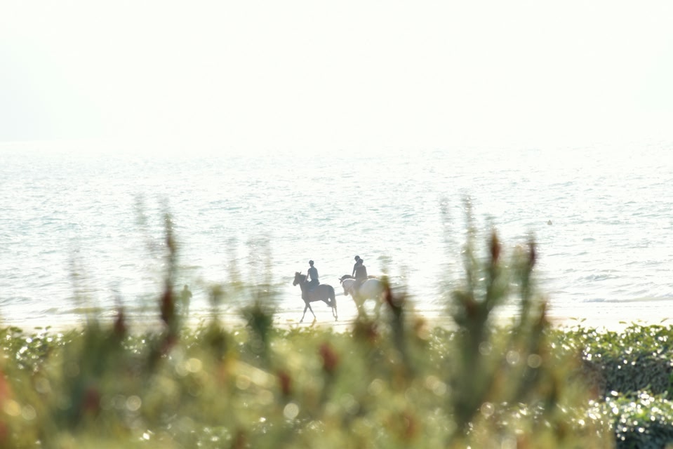 Reiten am Strand in der Normandie