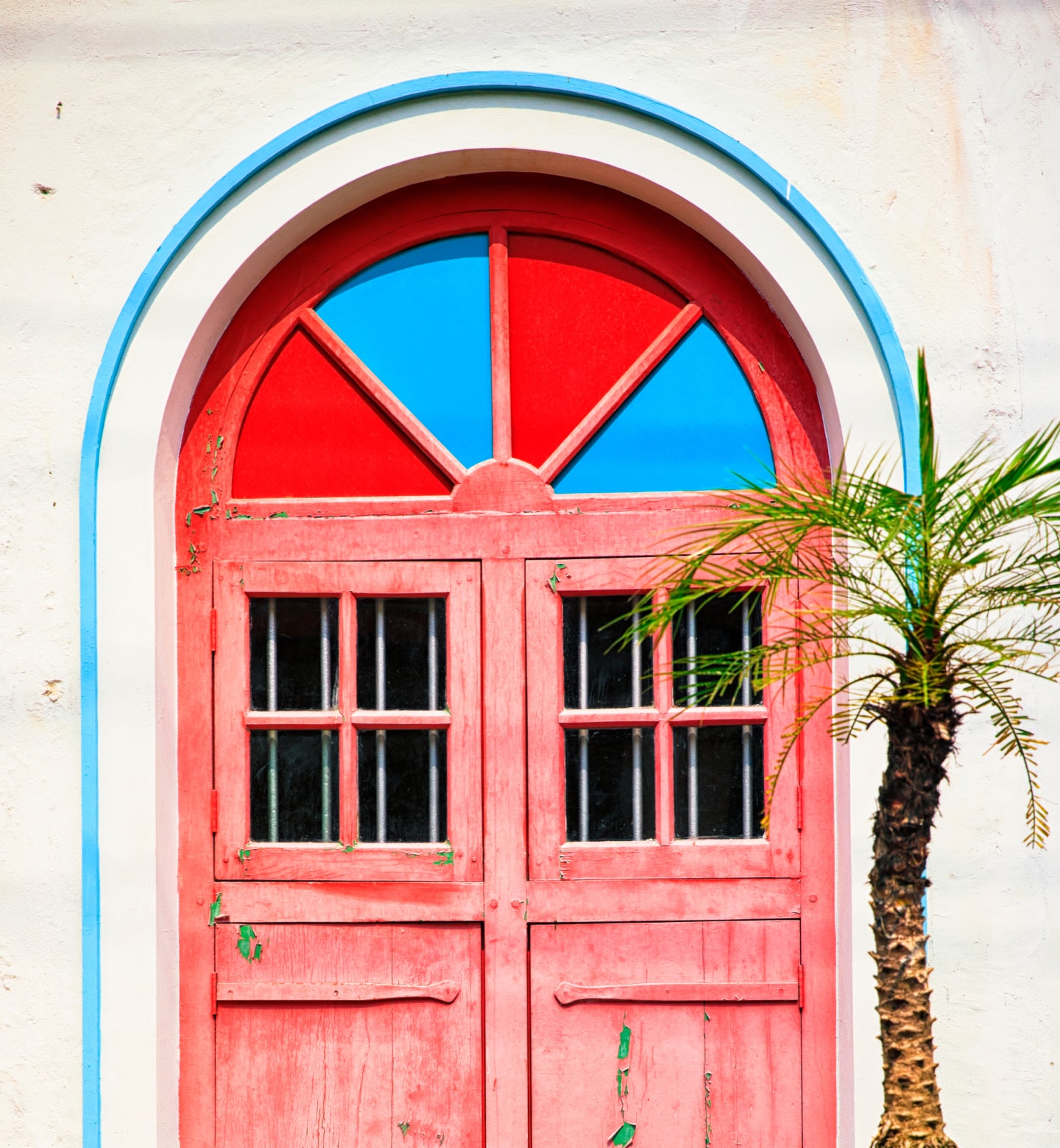 Red and blue arched door framed by a white wall and palm tree in Kochi, India.