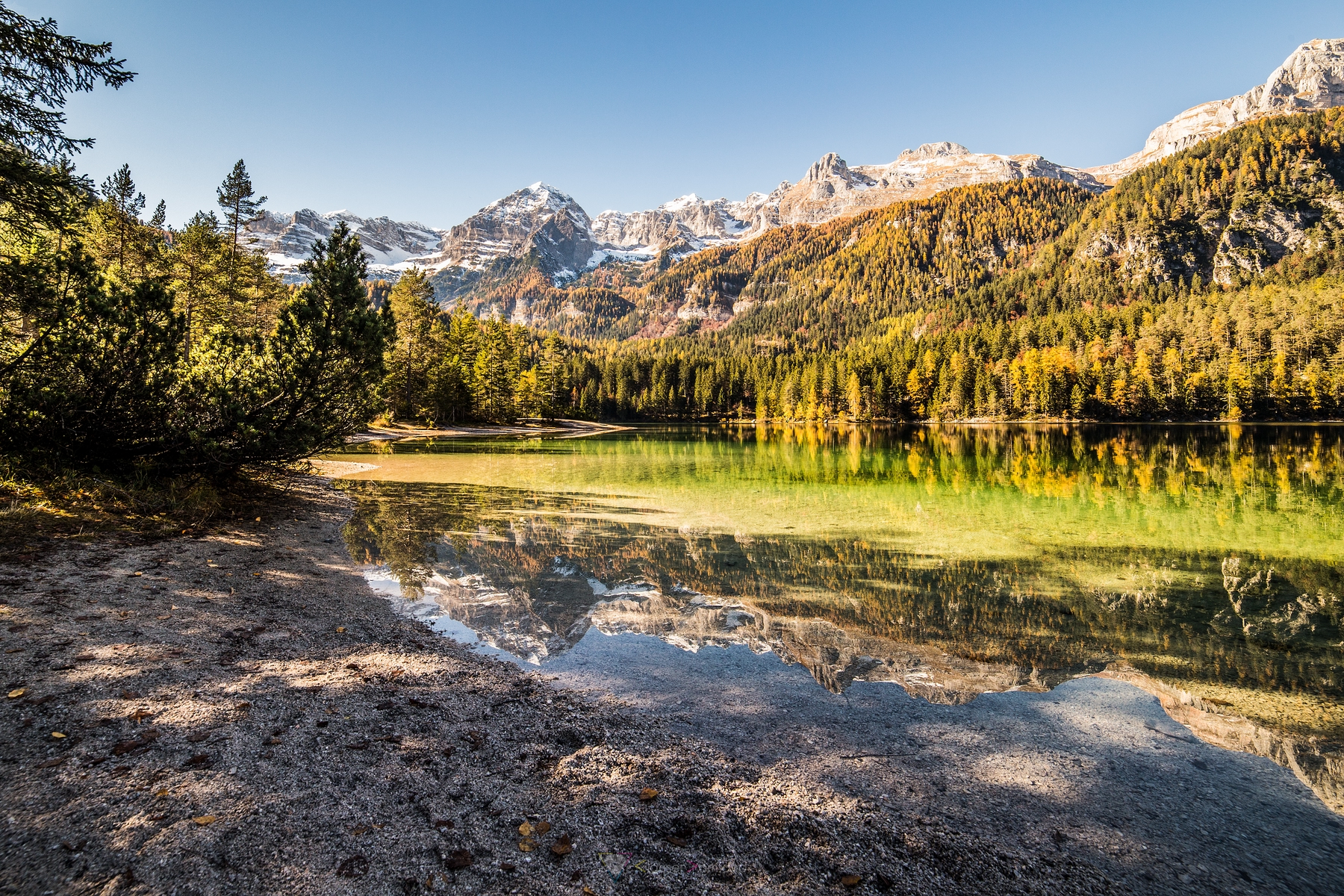 vedere il foliage in Trentino