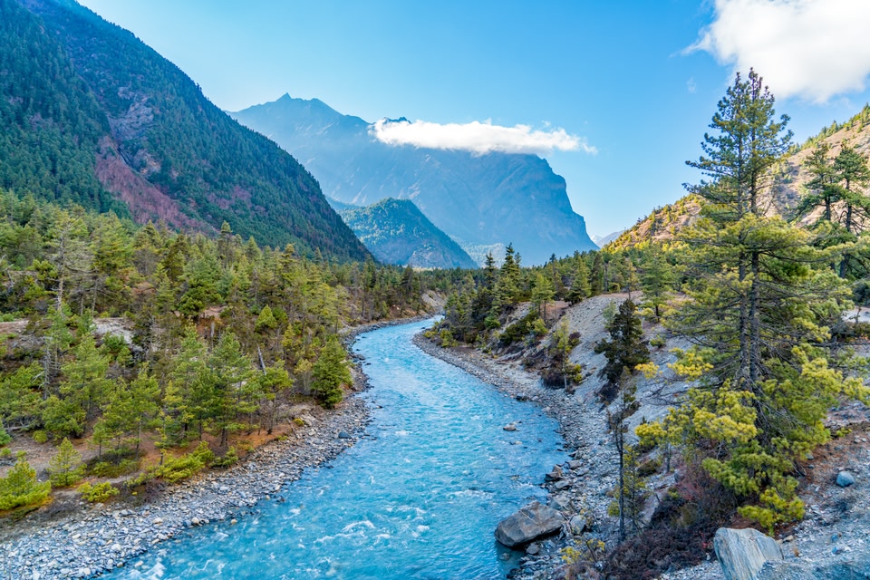 Light blue river surrounded by trees and mountains