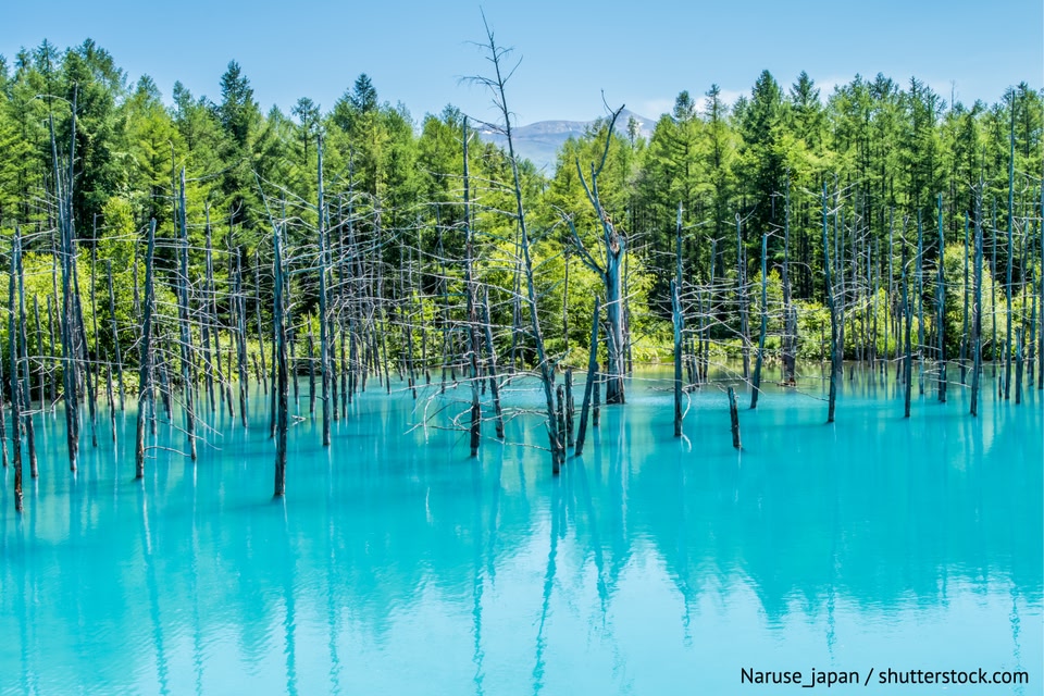 この時期ならではの絶景！春休み（3月）に見てみたい国内の風景4選