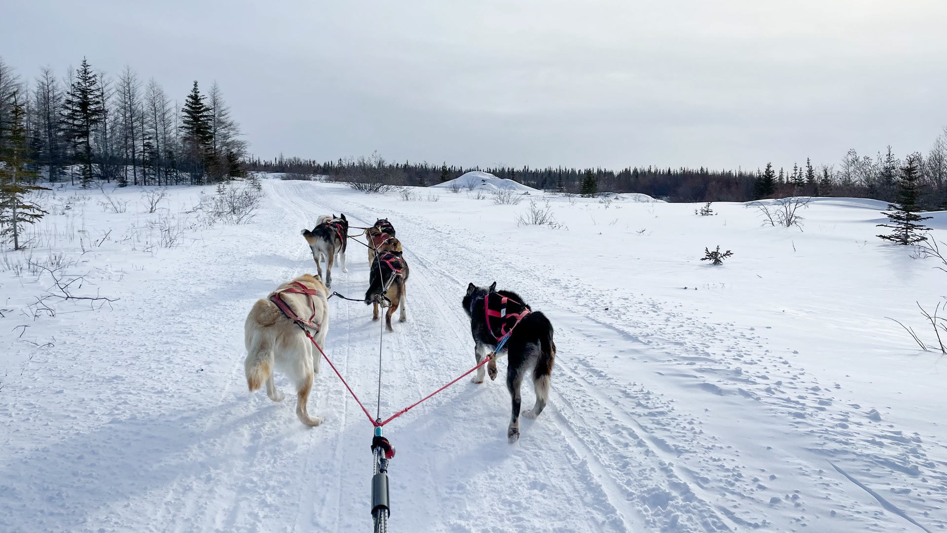 Manitoba Holidays in 2025 from 420 € Skyscanner