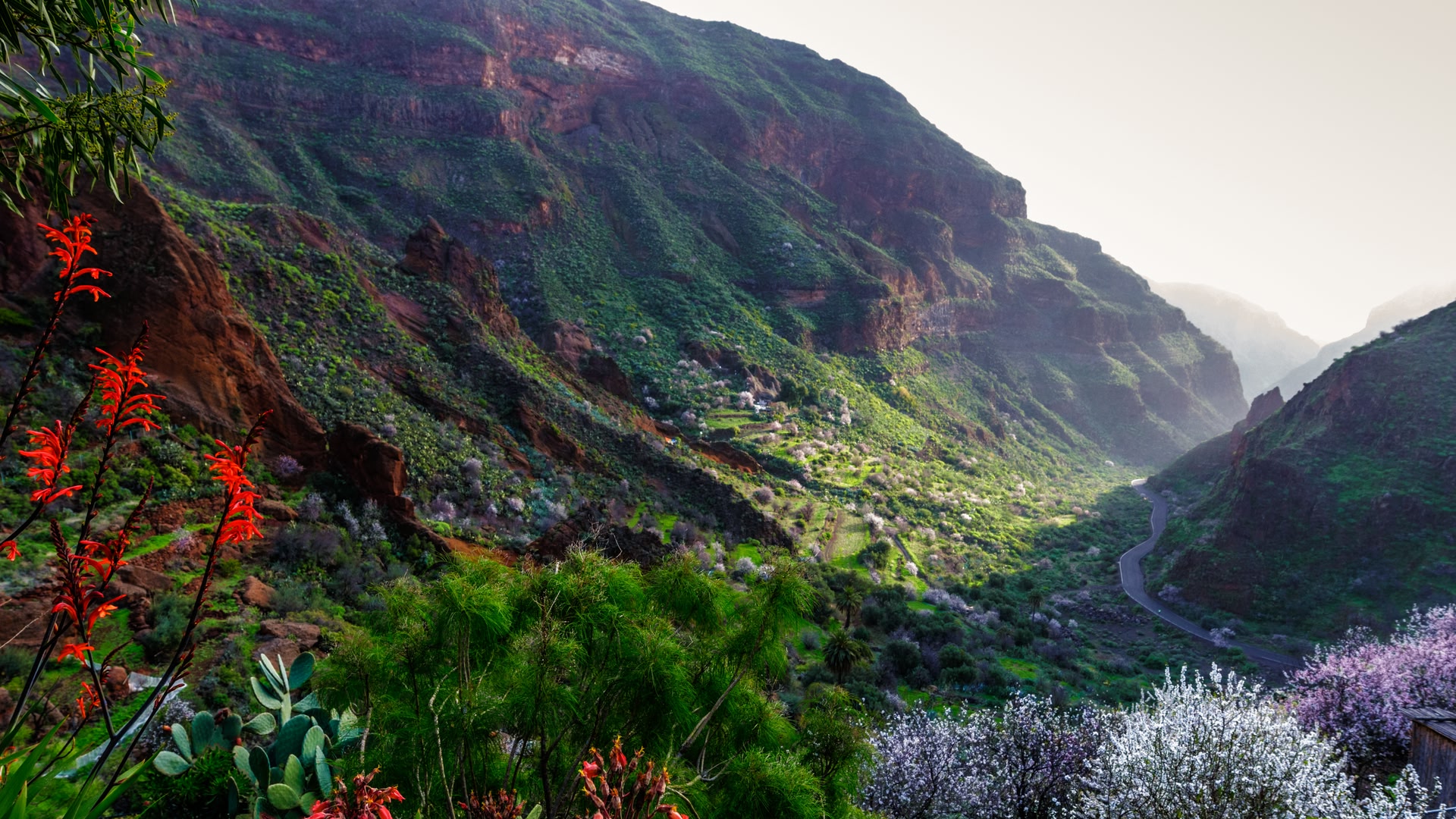 Gran Canaria