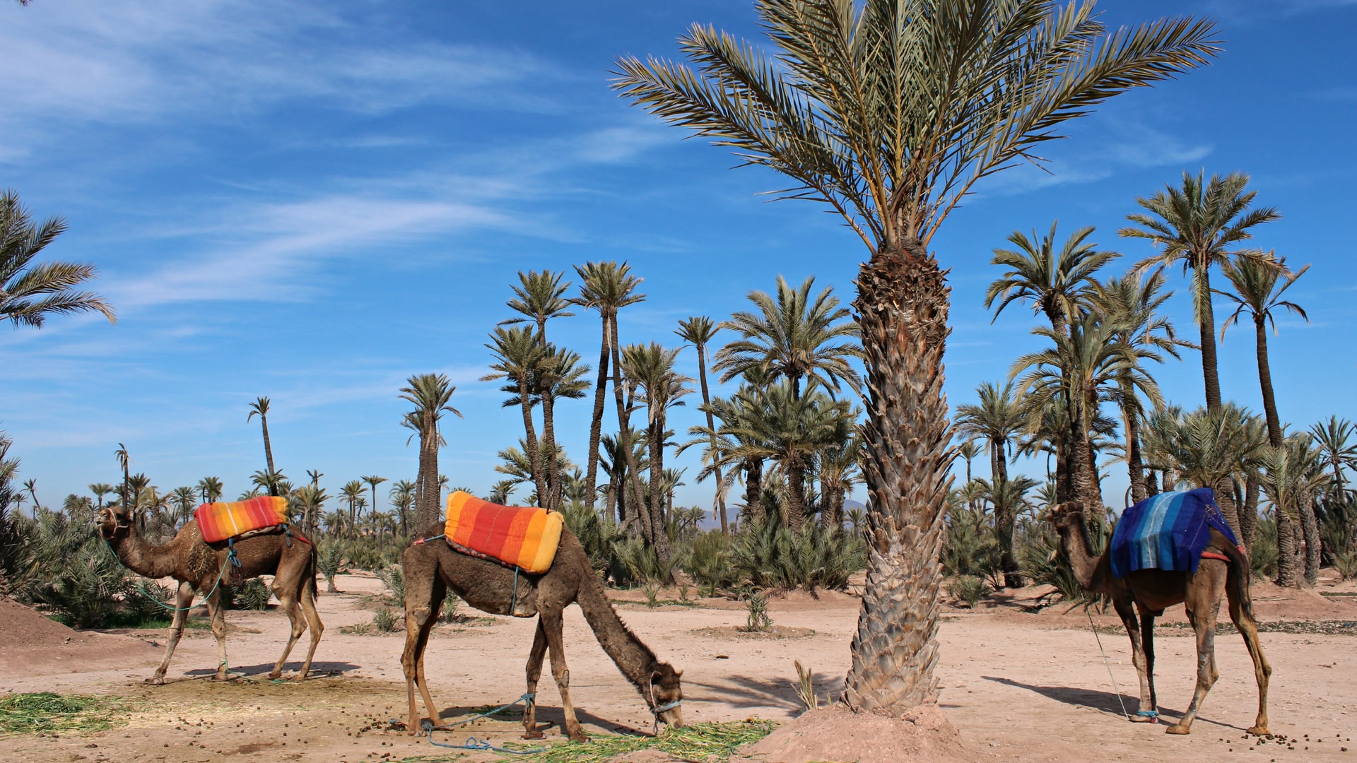 Marrakech