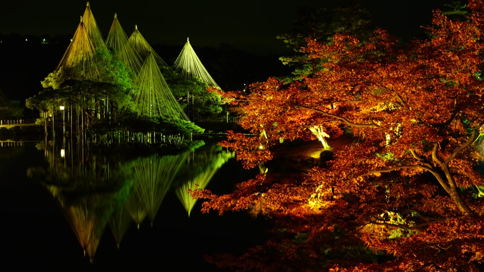 Kenrokuen garden, autumn light up, Kanazawa, Ishikawa, Japan