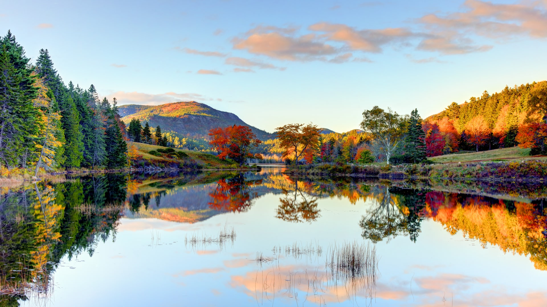 Bar Harbor