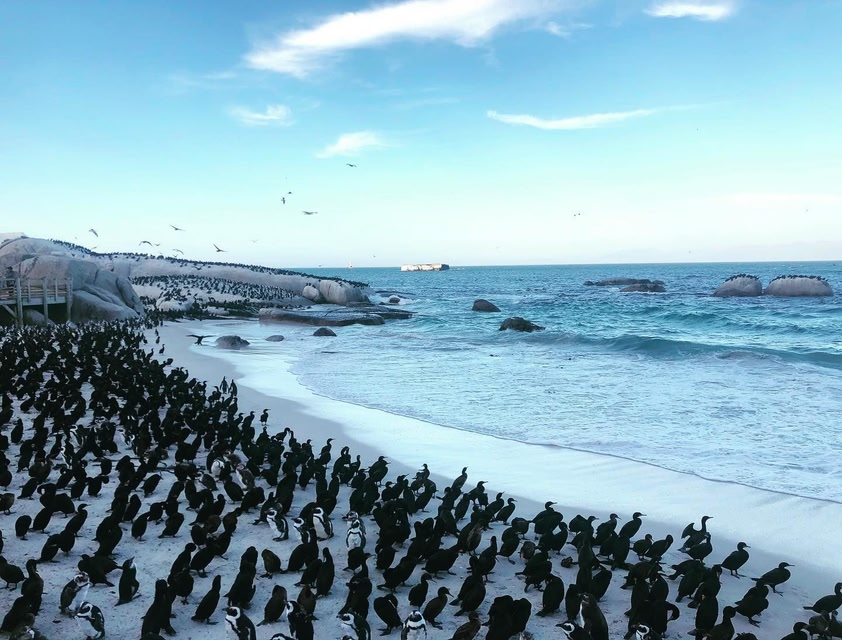 pour le soleil en mars, partir en Afrique du Sud