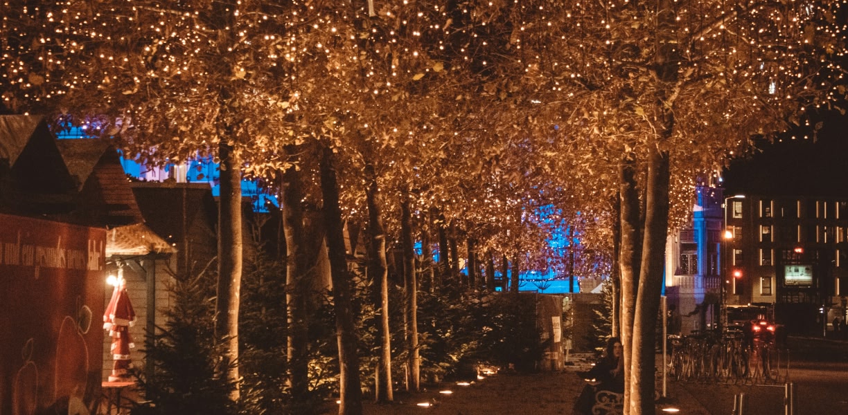 gli alberi illuminano una notte con luci di natale