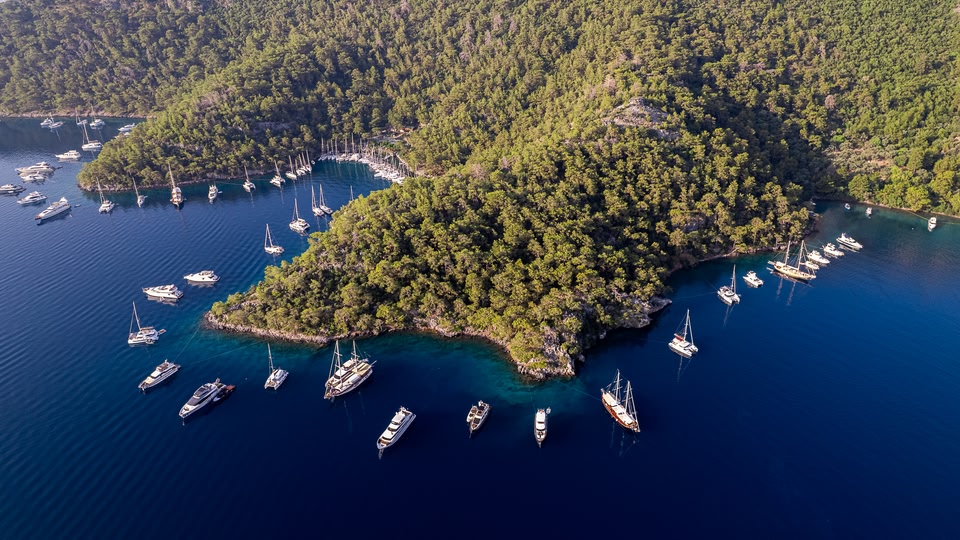 Aerial view of a marina with many sailboats anchored around a forested peninsula.