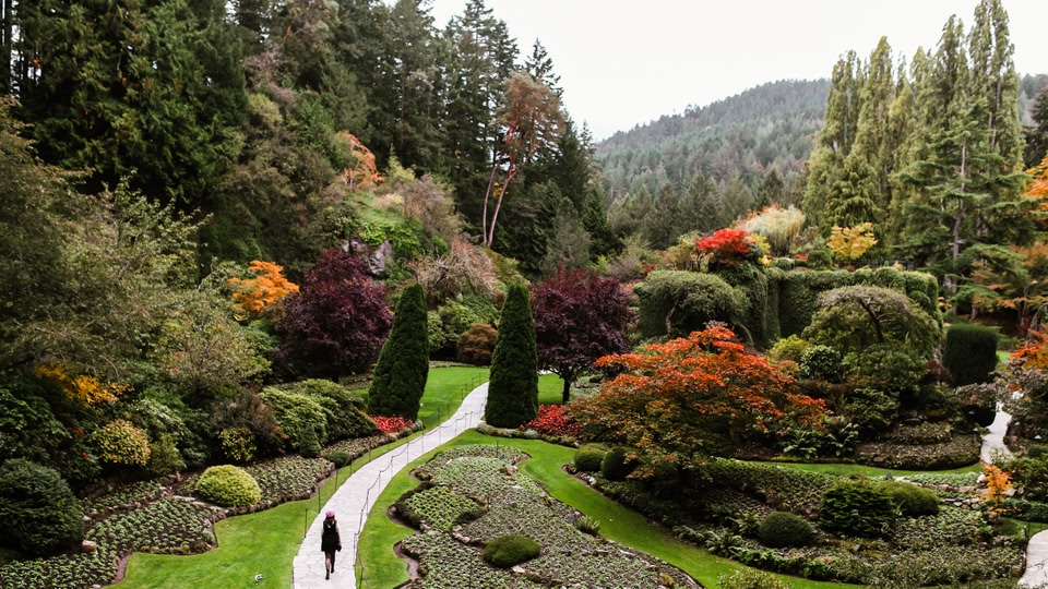 A serene garden with a winding path, surrounded by various trees and plants showcasing autumn colors.