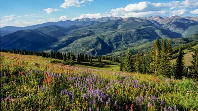 Colorado