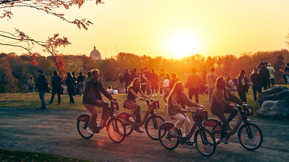 A group of people are riding bicycles in a park at sunset.