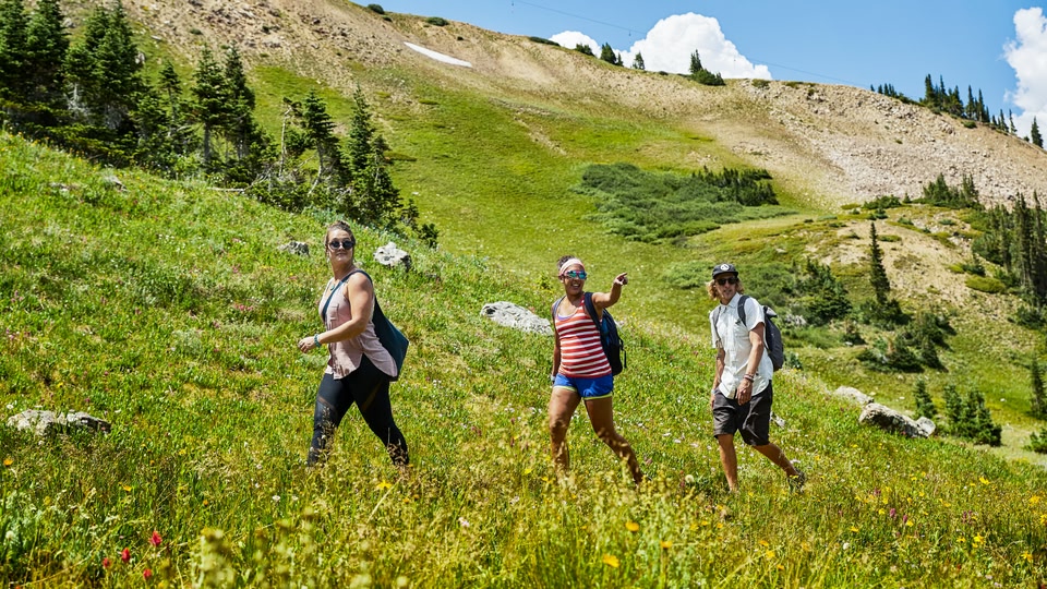 Three people hiking through a meadow filled with wildflowers in the mountains.