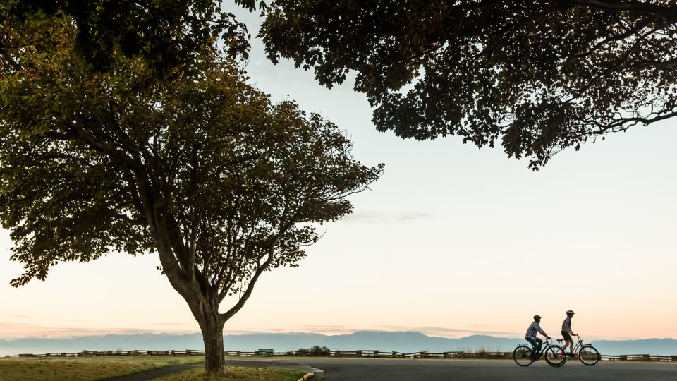 Two cyclists ride along a tree-lined road at sunset.