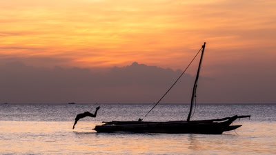 Zanzibar