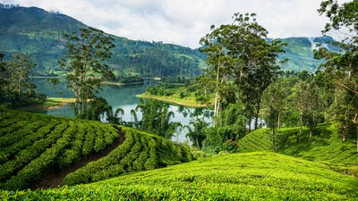 Sri Lanka